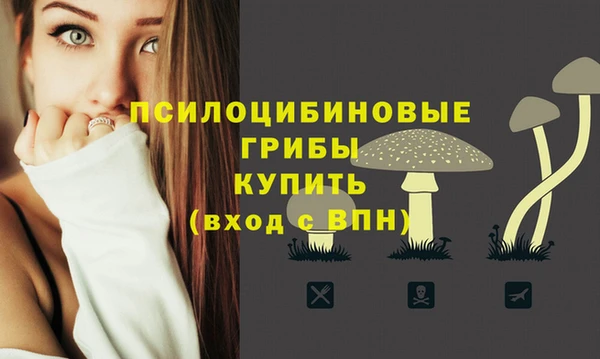 шишки Аркадак