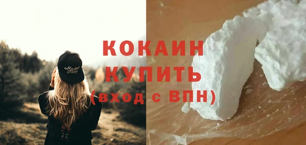шишки Аркадак