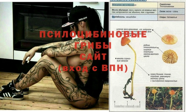 ALPHA PVP Арсеньев