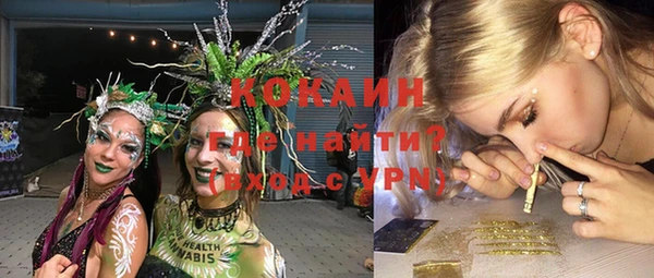 шишки Аркадак