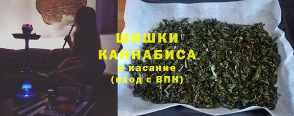 шишки Аркадак