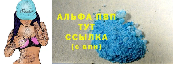 шишки Аркадак