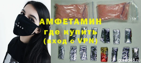 шишки Аркадак
