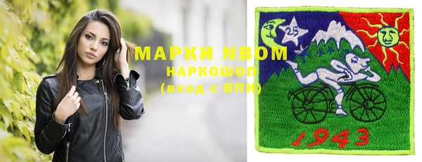шишки Аркадак